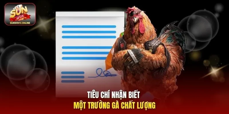 Các Trường Gà Nổi Tiếng Và Trải Nghiệm Đá Gà Hấp Dẫn 4 Sunwin Tiêu chí nhận biết một trường gà chất lượng